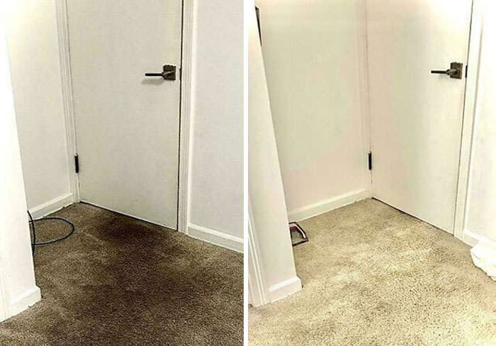 Before-after-cleaning-pictures showing a carpeted hallway with noticeable cleaning results.