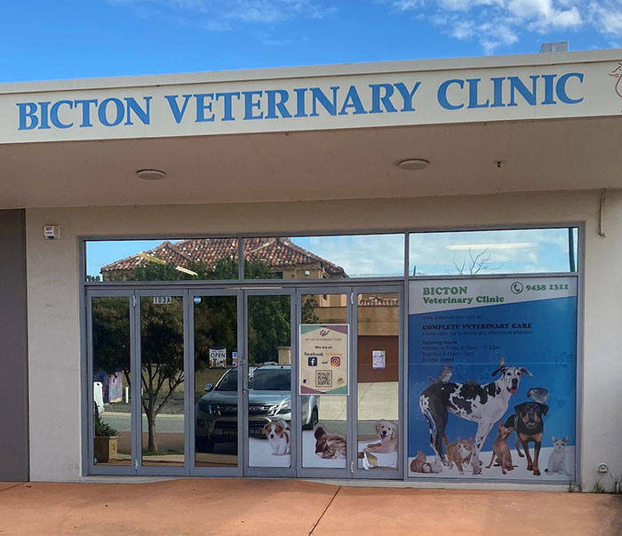 Bicton Veterinary Clinic entrance with animal posters, promoting care and protection for pets.