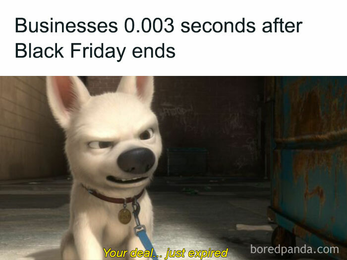 Animated dog with a mischievous expression, captioned about deals expiring immediately after Black Friday. Funny Black Friday memes.