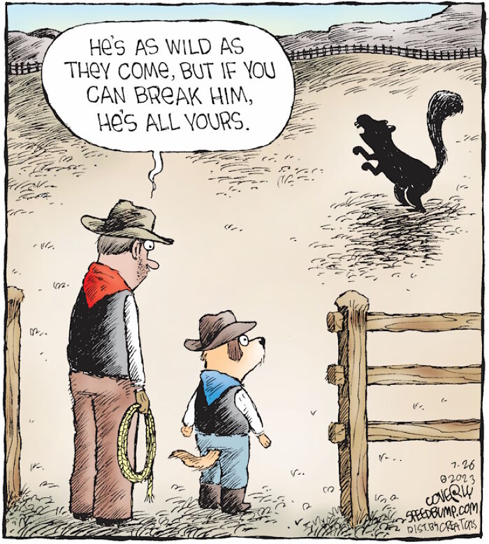 The Art Of Laughing At Life: Dave Coverly's "Speed Bump" (32 New Pics)