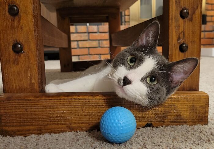 Sally Being Photogenic With Her Blue Ball