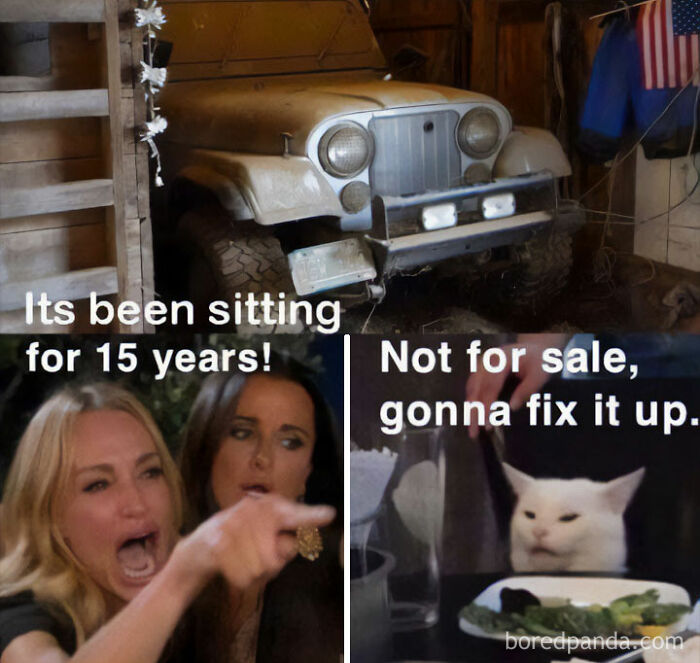 A car meme showing a dusty Jeep captioned "It's been sitting for 15 years!" with a pointing woman, and a cat replying, "Not for sale, gonna fix it up."