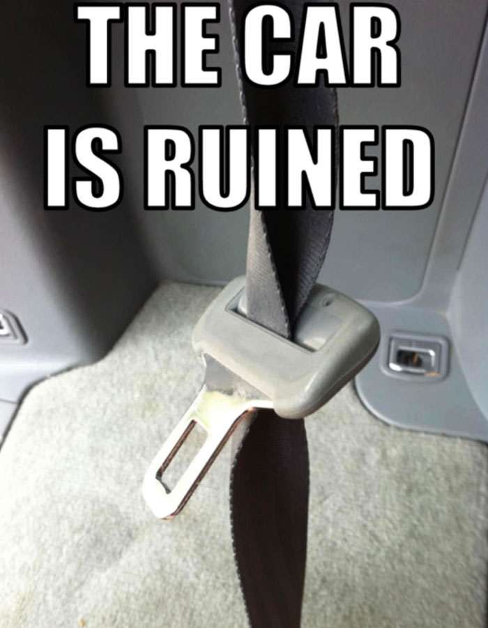 A car meme showing a seatbelt buckle inserted incorrectly with the caption "THE CAR IS RUINED."