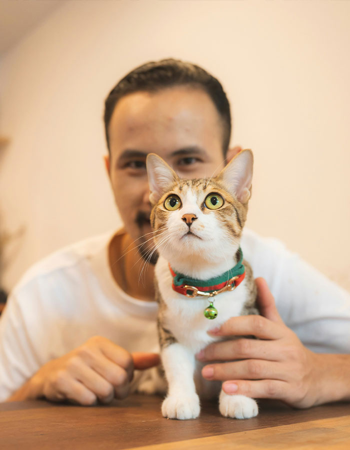 Man Passes Away After Being Scratched By His "Kind And Harmless" Cat