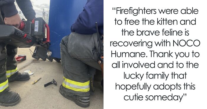 Kitty Trapped In Dumpster Gets Rescued By Firefighters With Heavy Machinery, And Netizens Are Happy