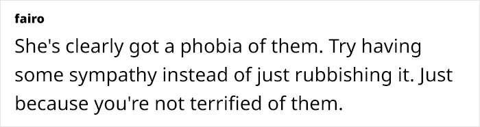 Woman Thinks Her Housekeeper Is Being "Absurd" Over Not Daring To Work In Her Home As They Have Lice