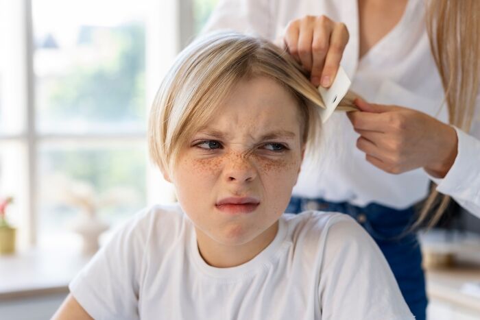 Woman Thinks Her Housekeeper Is Being "Absurd" Over Not Daring To Work In Her Home As They Have Lice