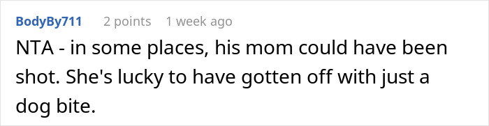 “WIBTA For Not Wanting To Pay For Someone’s Medical Bills After My Dog Bit Them?”