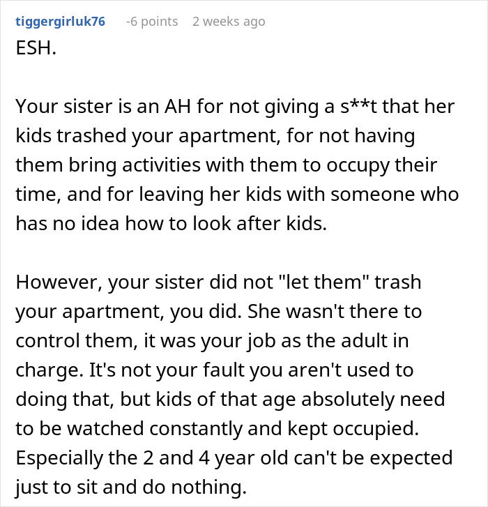 Kids Completely Wreck Aunt’s Apartment, Mom Gets Defensive When She Loses Her Free Babysitter