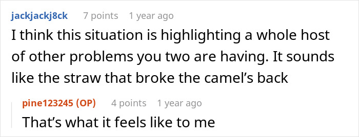 Reddit comment exchange about relationship issues, mentions "straw that broke the camel's back.