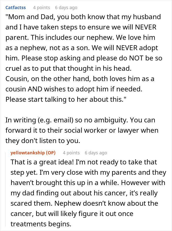 Parents Keep Pressuring Daughter Into Adopting Her Nephew, She Asks For Advice