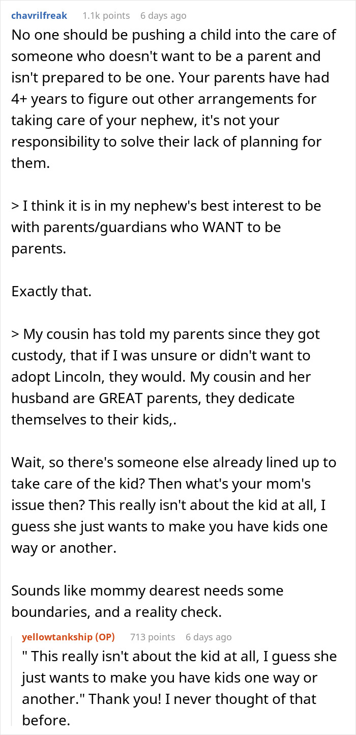 Parents Keep Pressuring Daughter Into Adopting Her Nephew, She Asks For Advice