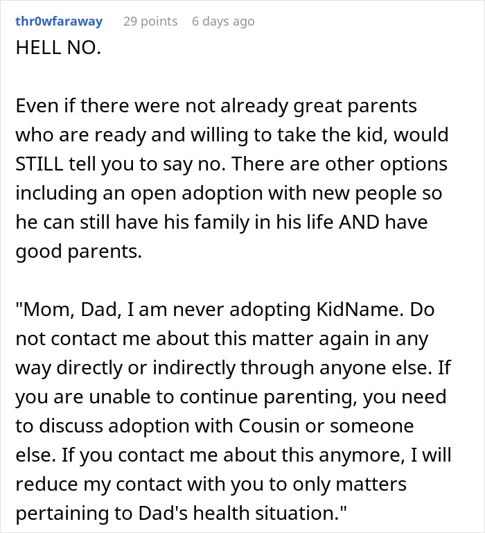 Parents Keep Pressuring Daughter Into Adopting Her Nephew, She Asks For Advice