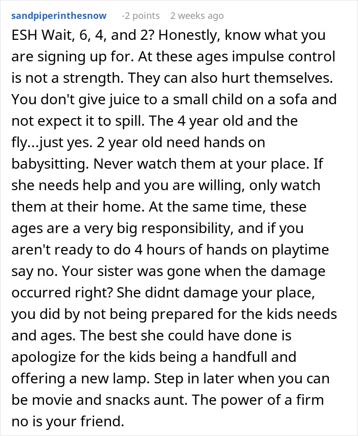 Kids Completely Wreck Aunt’s Apartment, Mom Gets Defensive When She Loses Her Free Babysitter