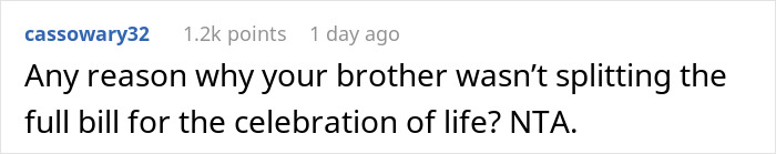 Reddit comment questioning brother's responsibility for celebrating life bill.