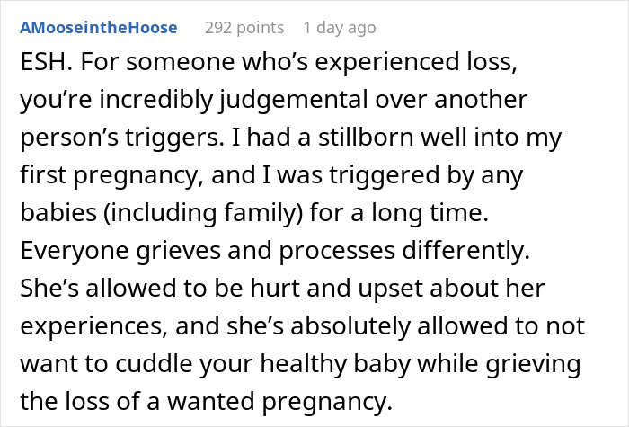 "[Am I The Jerk] For Telling My SIL That I’ve Had 4 Miscarriages When She Said I Didn’t Understand Her Loss?"