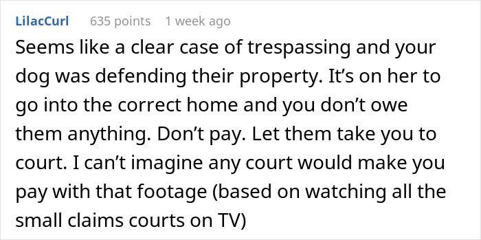 “WIBTA For Not Wanting To Pay For Someone’s Medical Bills After My Dog Bit Them?”