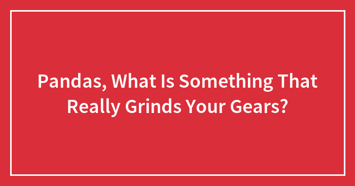 Hey Pandas, What Is Something That Really Grinds Your Gears?