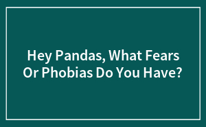 Hey Pandas, What Fears Or Phobias Do You Have? (Closed)