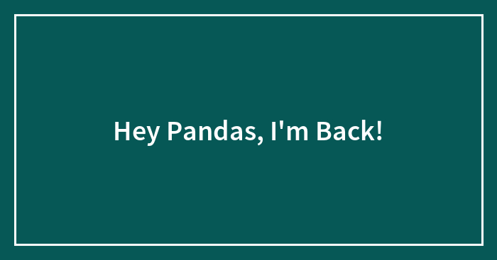 Hey Pandas, I’m Back!