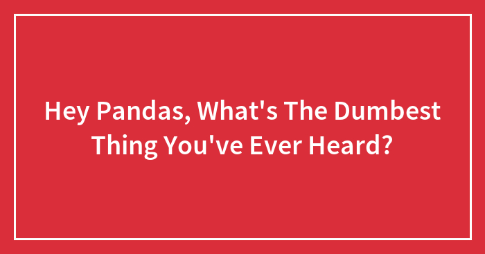 Hey Pandas, What’s The Dumbest Thing You’ve Ever Heard?