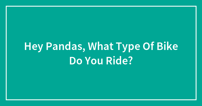 Hey Pandas, What Type Of Bike Do You Ride? (Closed)