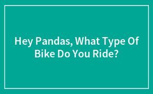 Hey Pandas, What Type Of Bike Do You Ride? (Closed)