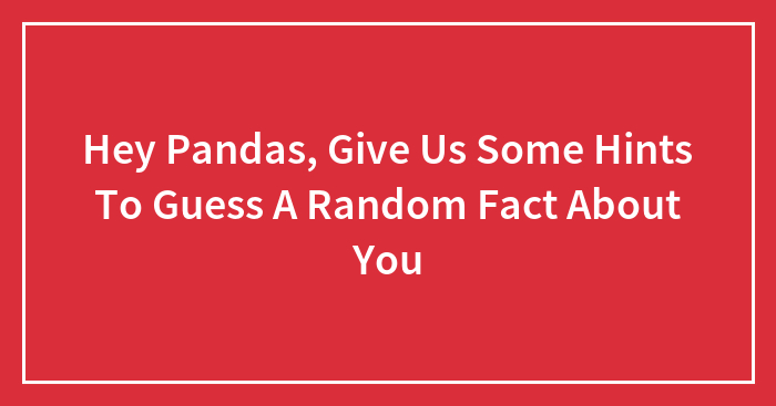 Hey Pandas, Give Us Some Hints To Guess A Random Fact About You (Closed)