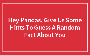 Hey Pandas, Give Us Some Hints To Guess A Random Fact About You (Closed)