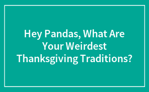 Hey Pandas, What Are Your Weirdest Thanksgiving Traditions?