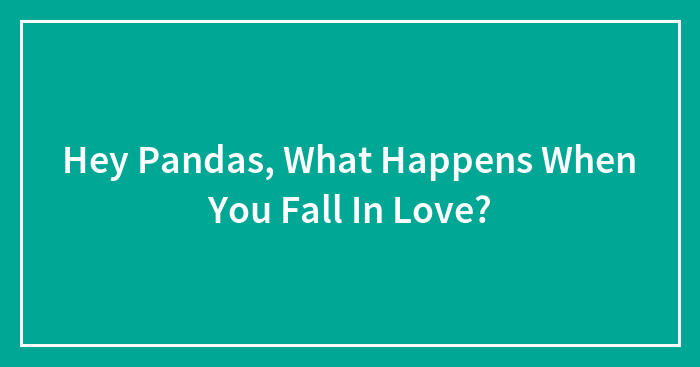 Hey Pandas, What Happens When You Fall In Love? (Closed)