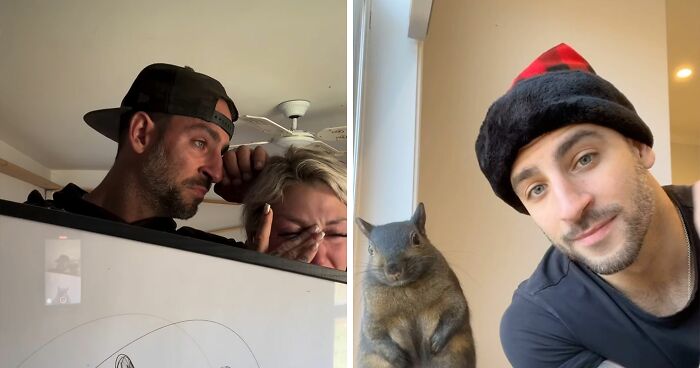 “Feels So Unjust”: Fans Devastated After Famous Squirrel Is Seized And Euthanized By Authorities