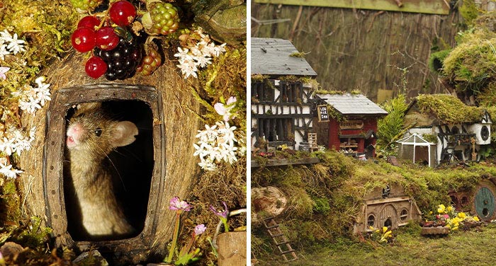 I Built A Mouse Village, Which Might Be The First And Only Mouse Village In Yorkshire, England (17 Pics)