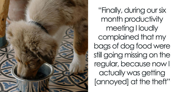 Woman Lets Lunch-Stealing Coworkers Eat Dog Food For 6 Months, Proudly Announces It During A Meeting