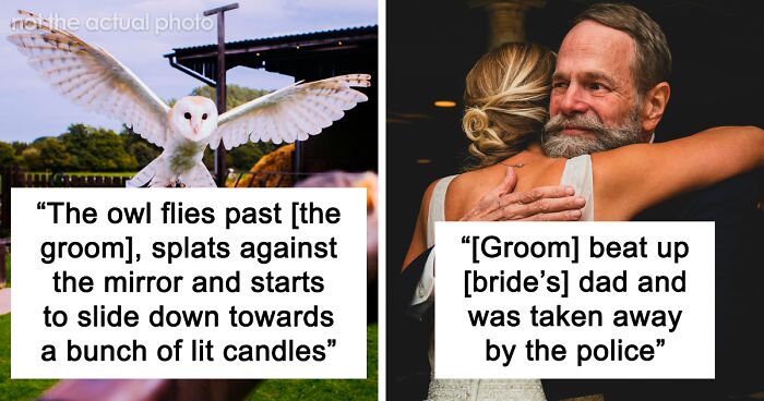 People Are Sharing Wedding Stories That Range From Silly To Disturbing