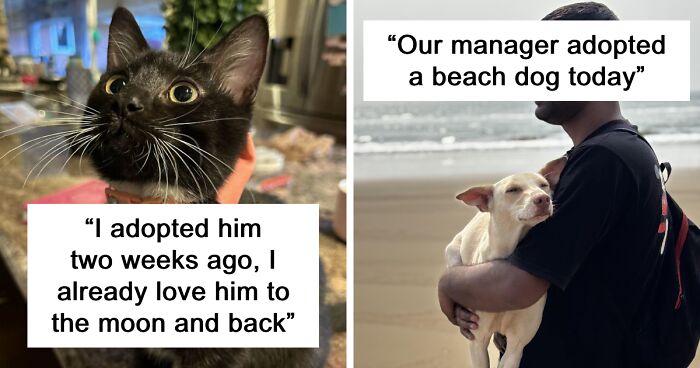 90 Proud Pet Owners Share The Delightful Pets They Adopted In November