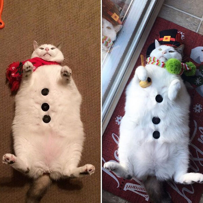 Look At Me! I'm A Snowman