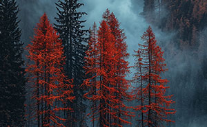 From Quiet Lakes To Surreal Worlds: 42 Photos By Artist And Photographer Daniel Greenwood