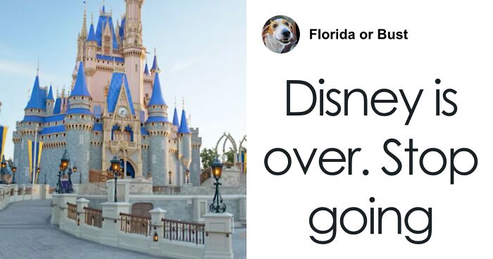 21-Year-Old Arrested At Disney World After Violently Assaulting Woman In Front Of Children