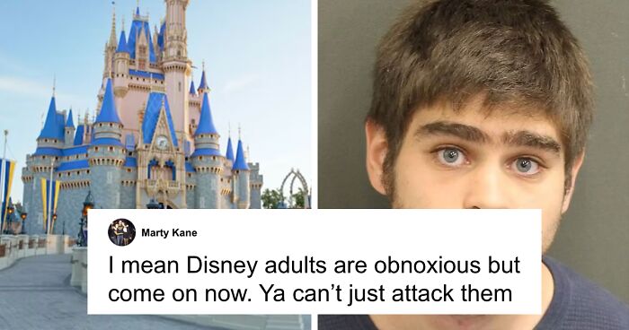 Chaos At Disney World As Man Punches Woman In Front Of Families, Arrested For Domestic Battery