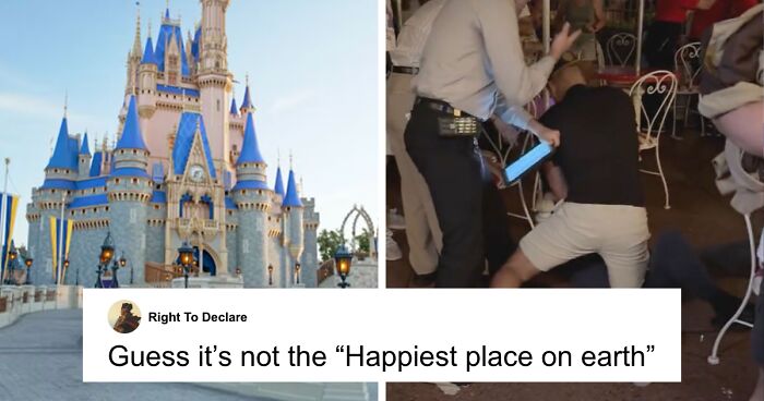 21YO Arrested At Disney World For Violently Assaulting Woman In Front Of Horrified Children