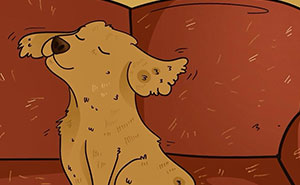 “Daily Furry Tales” Shares 30 New Comics Showing The Everyday Joys Of Living With Dogs