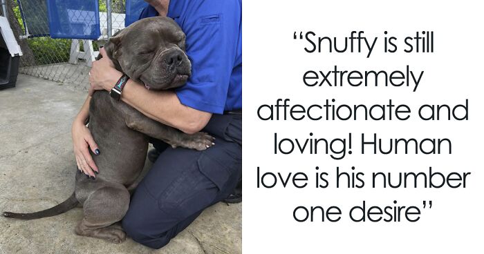 People Online Can’t Stop Adoring Snuffy The Pitbull Who Keeps Wholesomely Hugging His Caretakers