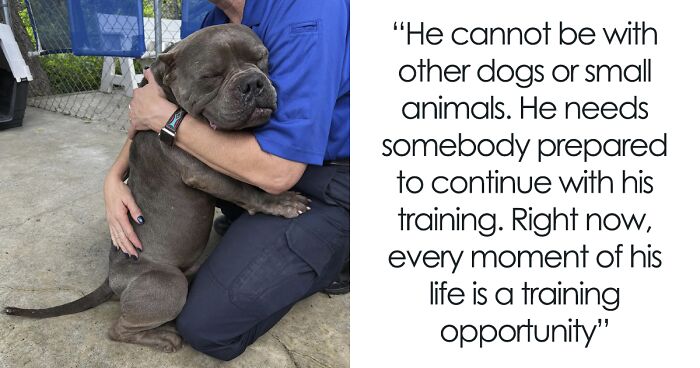 Woman Shows Shelter Dog Kindness, He’s So Grateful He Can’t Stop Hugging Her