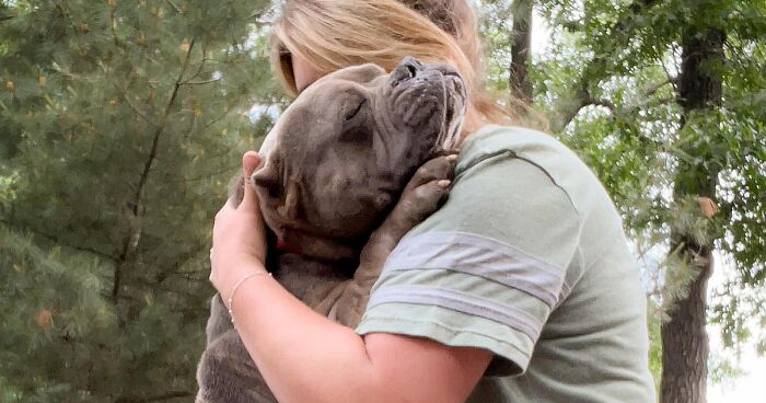 Lovely Pitbull Can’t Stop Hugging Woman Who Gave Him Foster Home, Goes Viral When Pics Spread Online