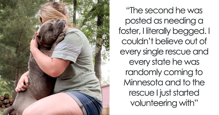 Lovely Pitbull Can’t Stop Hugging Woman Who Gave Him Foster Home, Goes Viral When Pics Spread Online