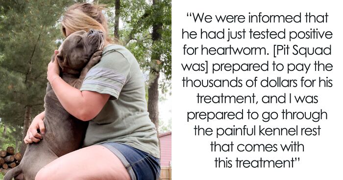 Snuffy The Rescue Pitbull Gets New Foster Home, Is So Grateful He Can’t Stop Hugging His Caretaker