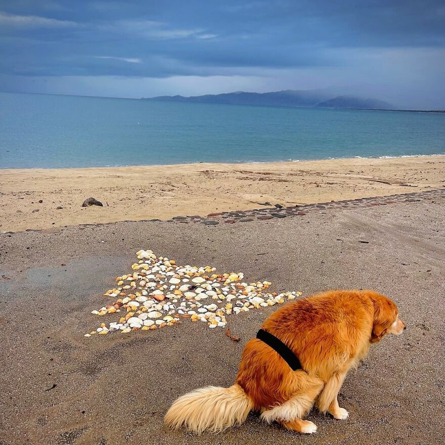 A Very Special Christmas 💩 From Lucy, 12, In Baja, Mexico