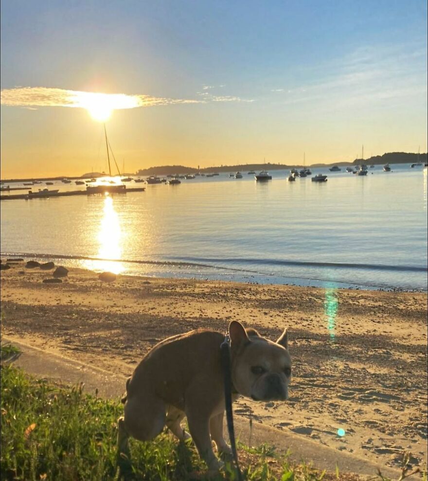 The Real Queen Of Southie… Penny At M Street Beach, Ma