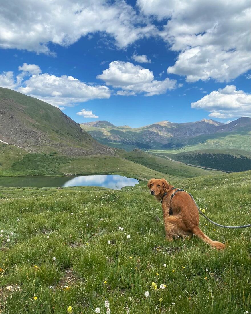 Mila In Georgetown, Colorado